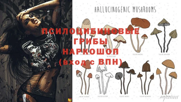 амф Абдулино