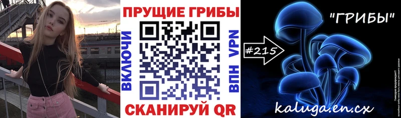 даркнет телеграм  Рыльск  Галлюциногенные грибы Psilocybine cubensis 
